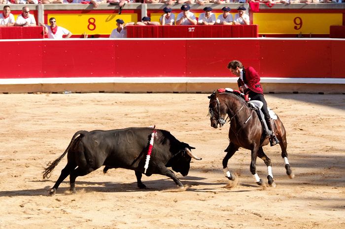 Rejoneo bullfight on horse in Pamplona