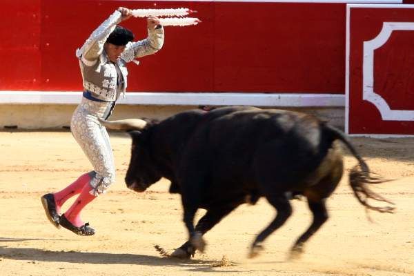 Bullfight corrida tickets